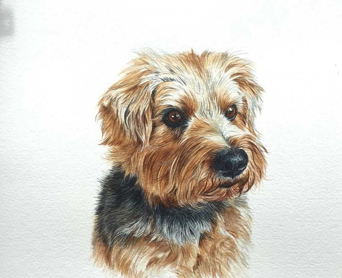 Largest SIZE  24 x 30